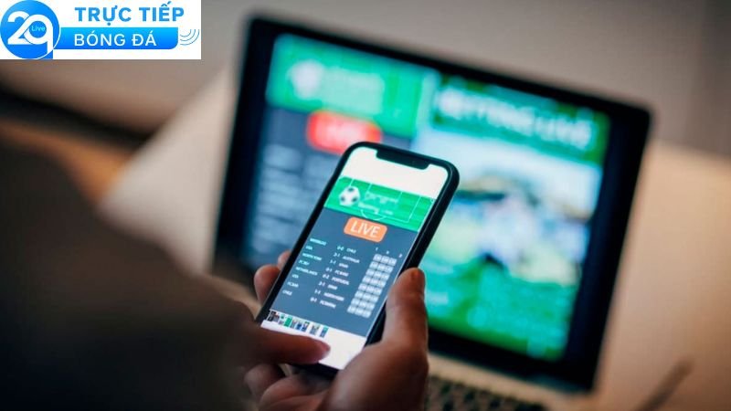 Cá độ bóng đá qua mạng - Đặt Cược Dễ Dàng, Rút Tiền Nhanh 4 Một số lưu ý