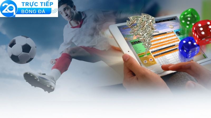 Chơi cá độ bóng đá online: Lợi ích khi tham gia