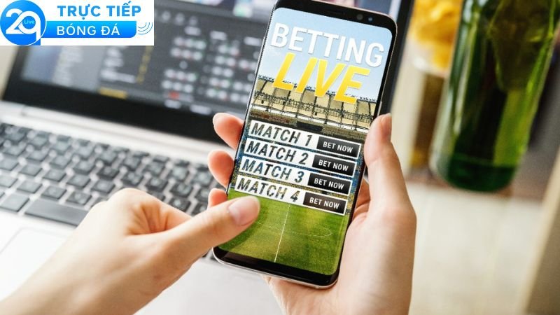 Chơi cá độ bóng đá online – Đặt cược dễ, thắng lớn