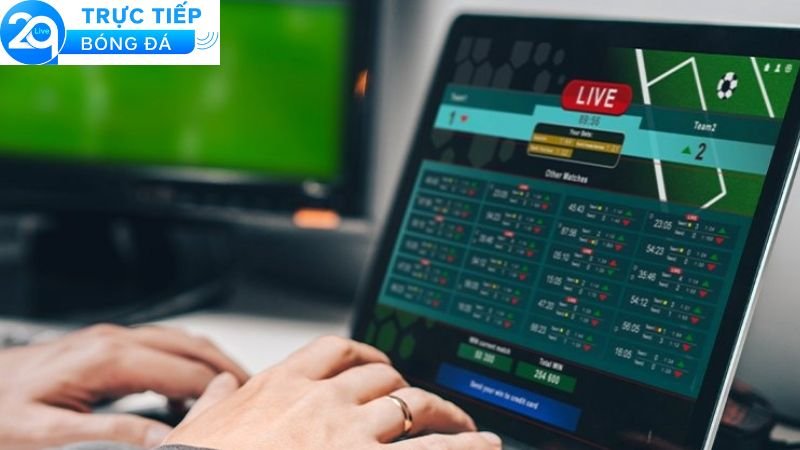 Kèo bóng đá Nữ World Cup – Soi Kèo Nhanh, Cược Ngay 2 Giới thiệu về kèo bóng đá Nữ World Cup