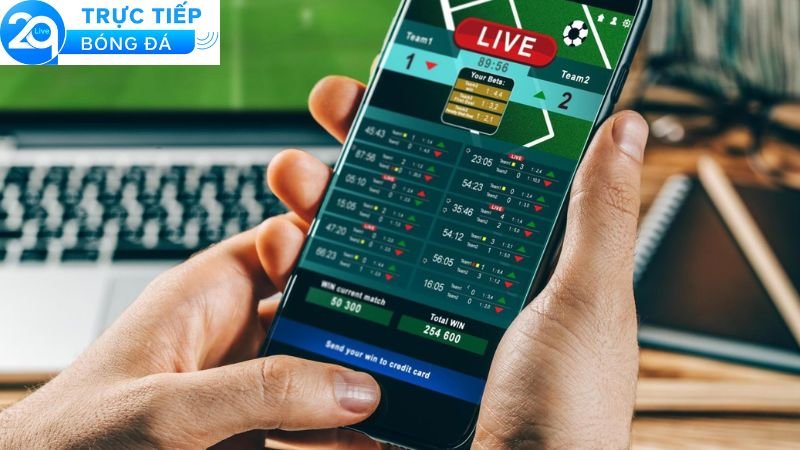 Soi Kèo Bóng Đá 6bet – Kèo Hấp Dẫn, Tỷ Lệ Cực Tốt 4 Một số lưu ý khi soi kèo bóng đá 6bet