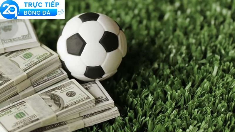 Soi Kèo Bóng Đá Miễn Phí – Dự Đoán Chuẩn, Cược Ngay